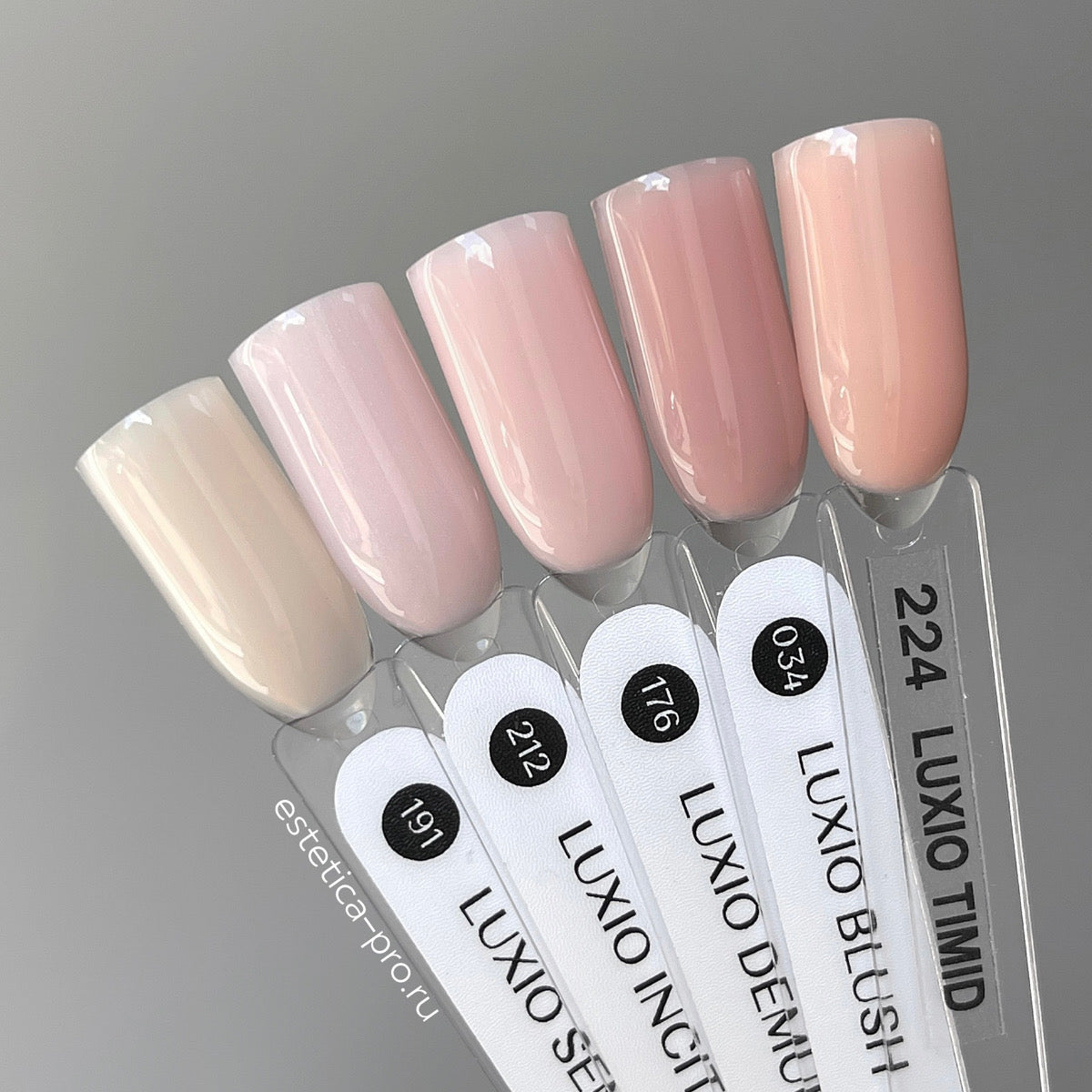 Luxio Demure by Akzentz