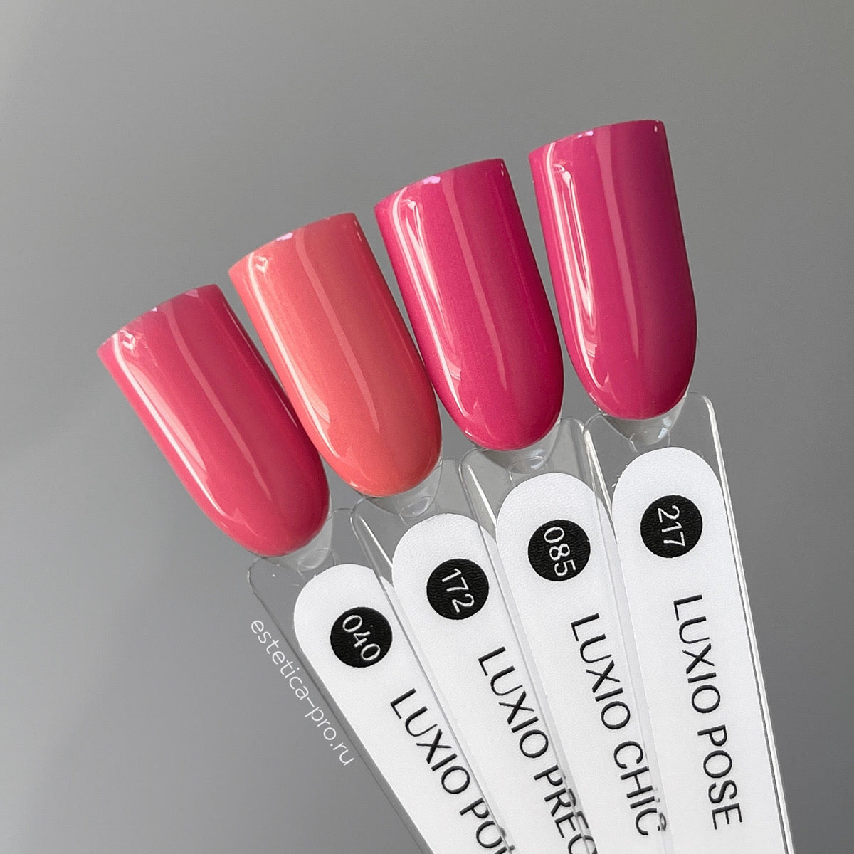 Luxio Pose by Akzentz