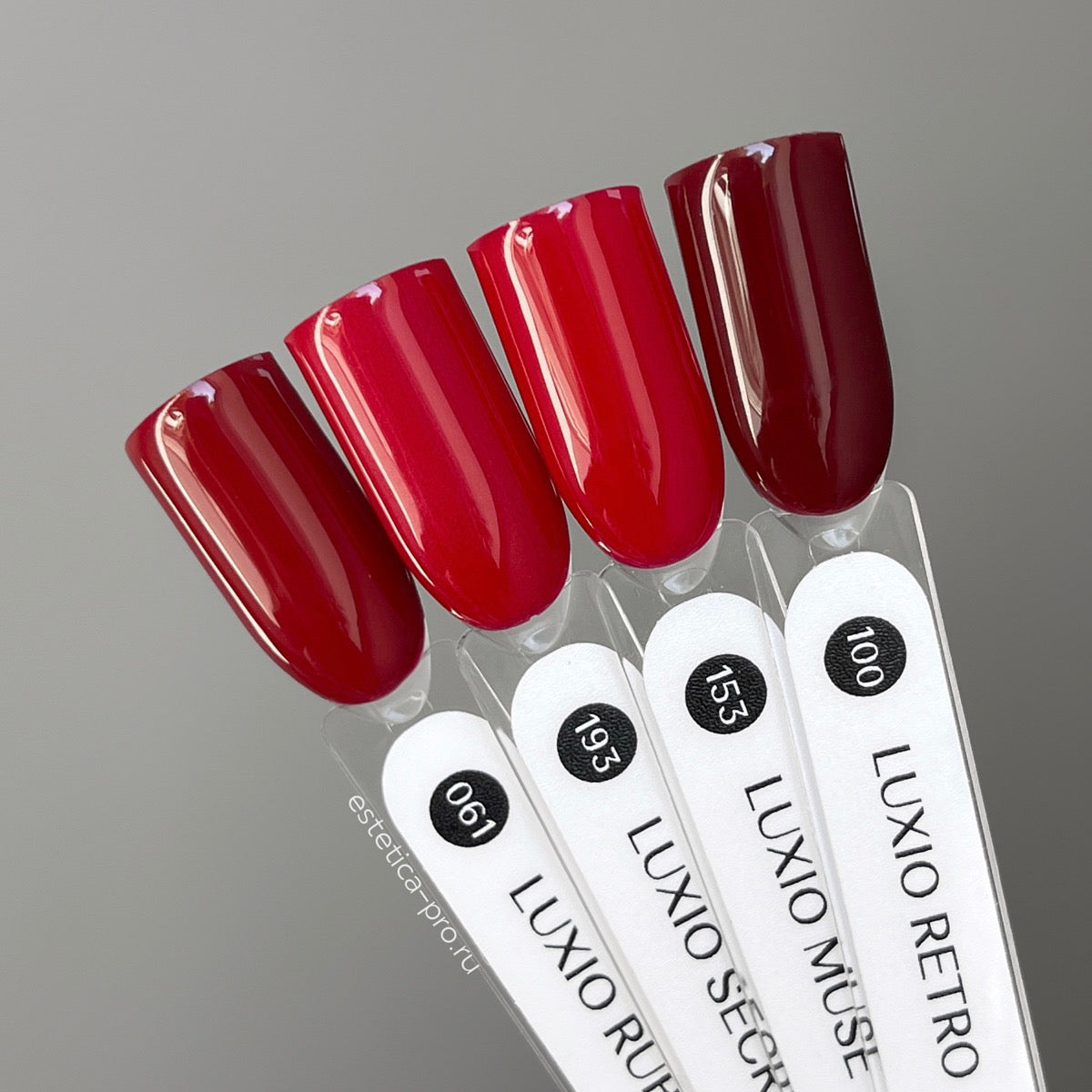 Luxio Muse by Akzentz