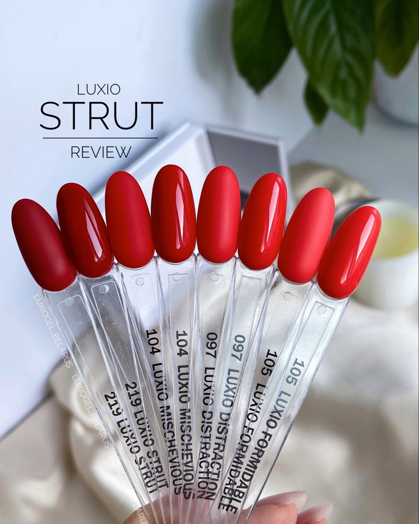 Luxio Mischievous by Akzentz